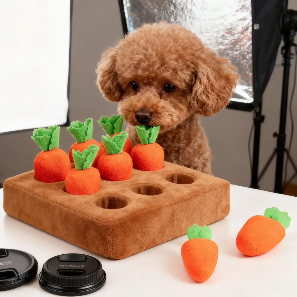 Brown poodle puppy playing with the carrot snuffle mat