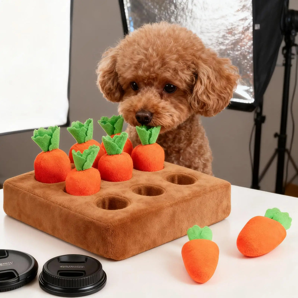 Brown poodle puppy playing with the carrot snuffle mat