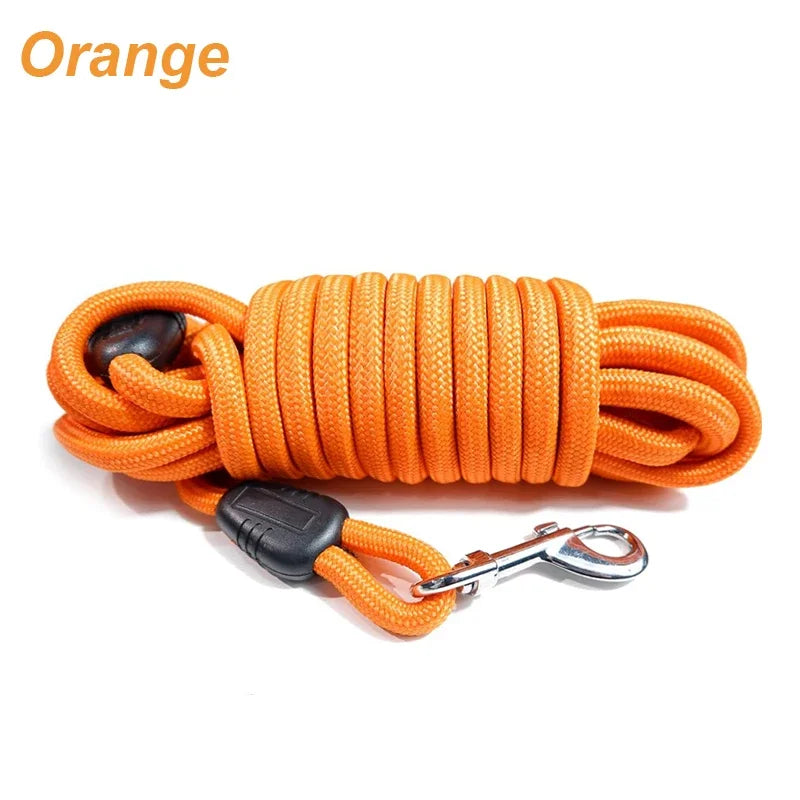 Orange long dog training leash
