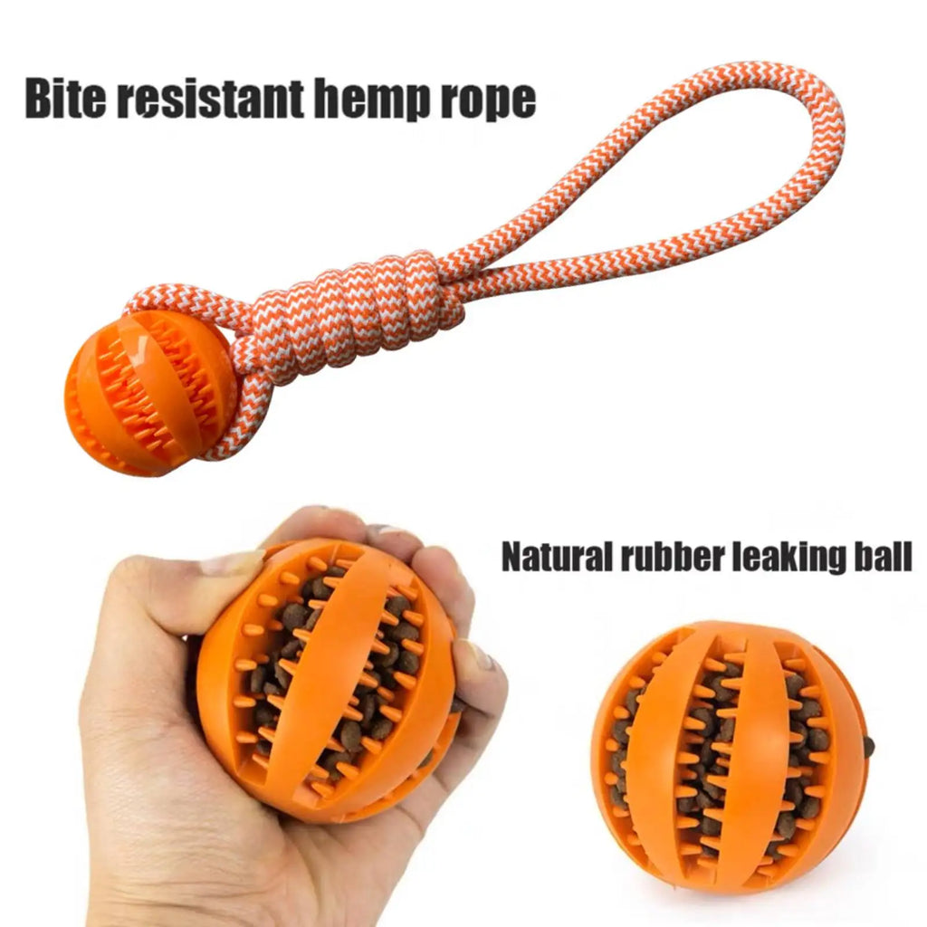Rope tug toy with the rubber treat ball in the center