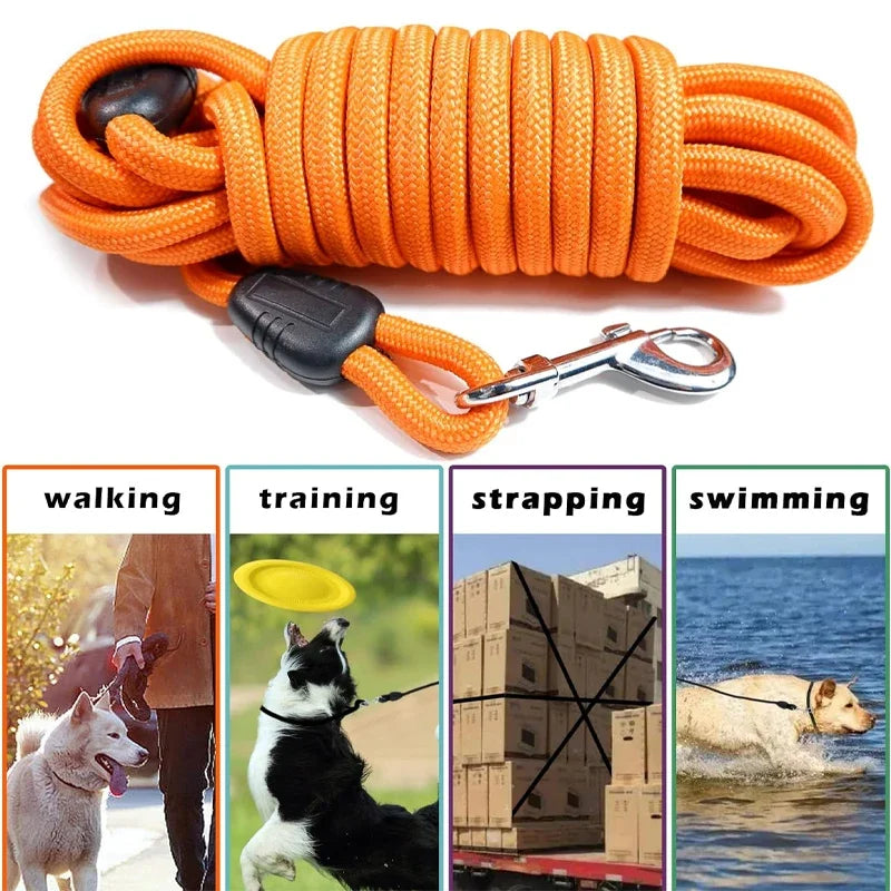 Long training leash used for walking, training and swimming