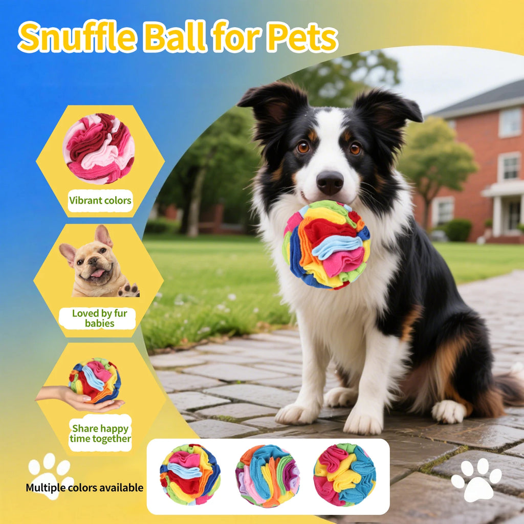 Snuffle ball for dogs held by a border collie