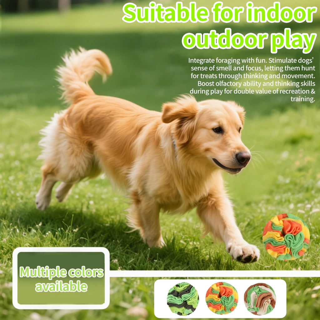 Golden retriever running with a snuffle ball outdoors